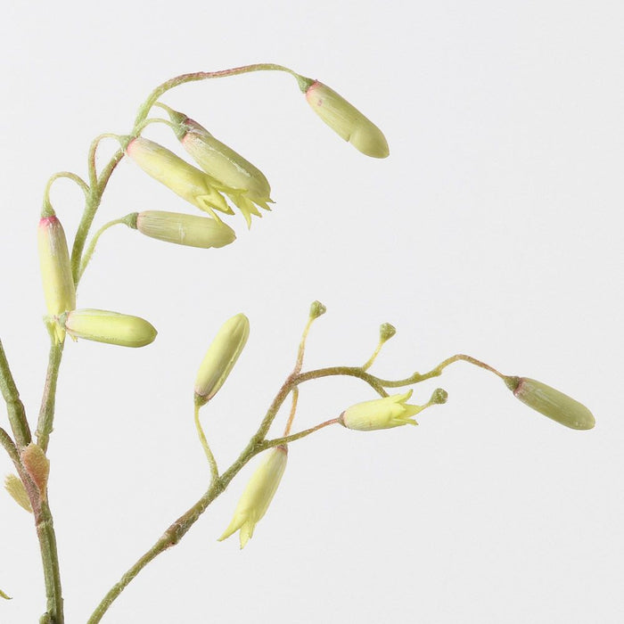 Magic Bells Spray Light Green 125cm Pack of 12