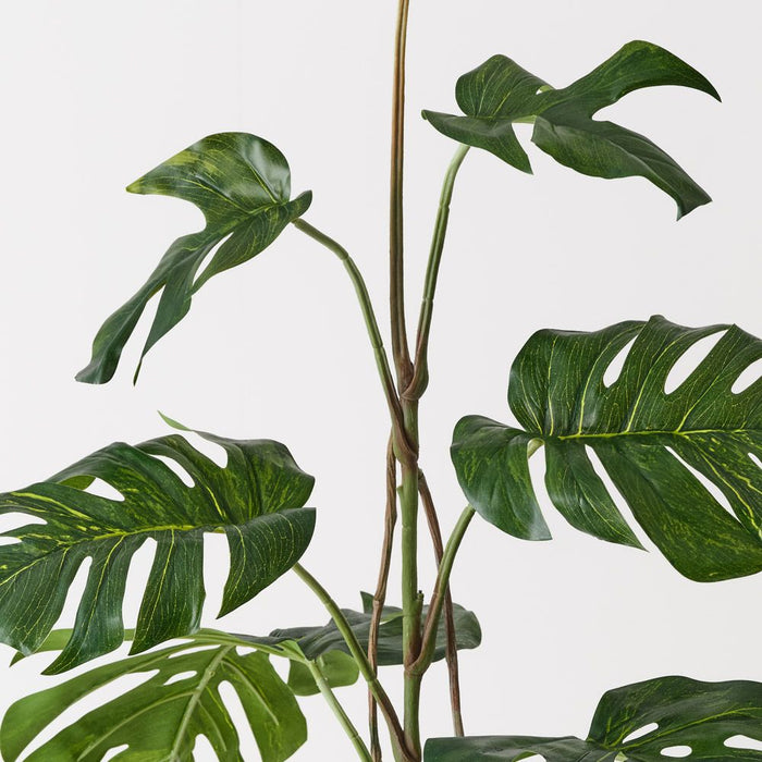 Monstera Stem Green 90cm Pack of 2
