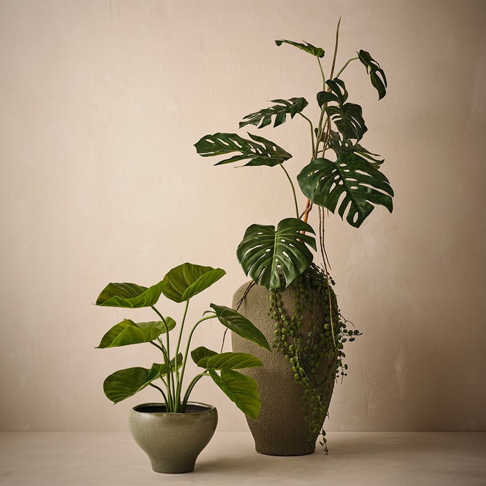 Monstera Stem Green 90cm Pack of 2