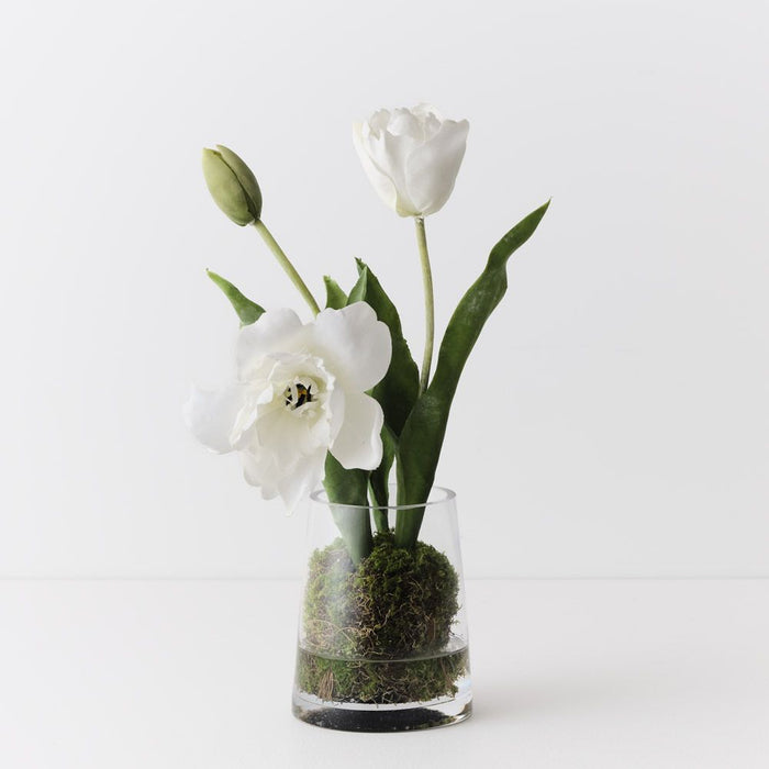 Tulip Hybrid Mix in Vase White 35cm