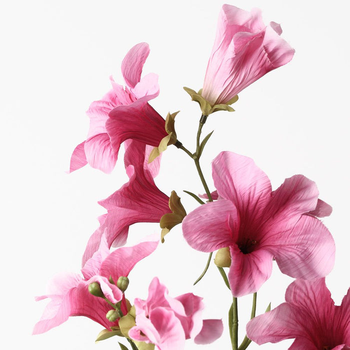 Petunia Spray Hot Pink 90cm Pack of 12