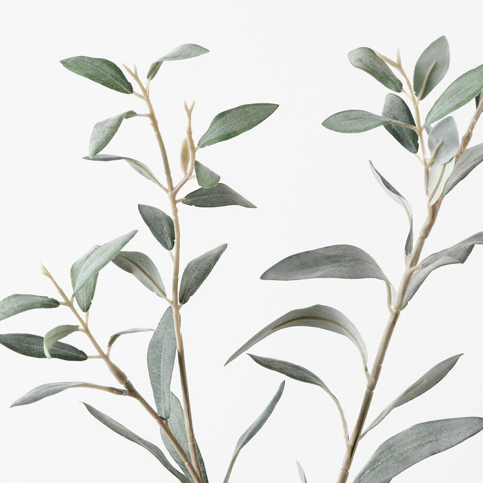 Olive Leaf Spray Grey Green 78cm Pack of 12