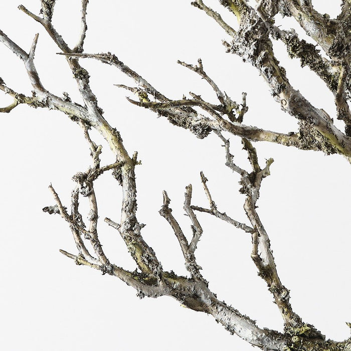 Twig Coral Branch Grey Brown 58cm Pack of 12