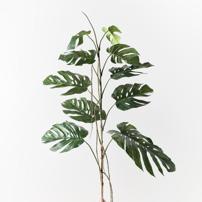 Monstera Stem Green 190cm Pack of 2