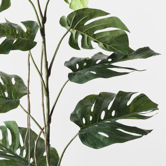 Monstera Stem Green 190cm Pack of 2