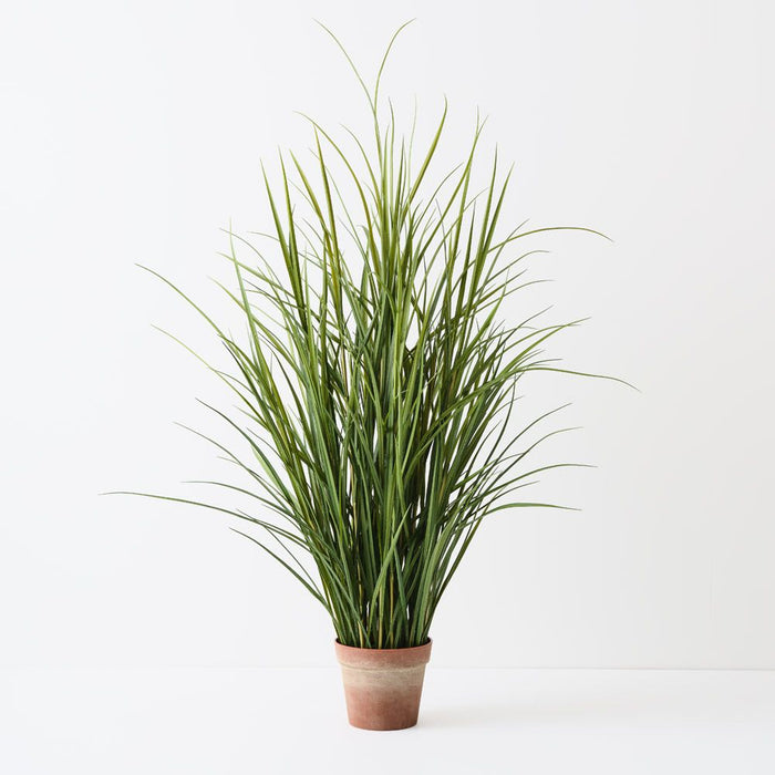 Grass Reed Plant Green 140cm Pack of 2