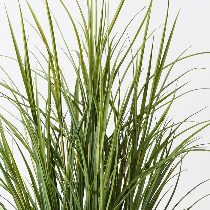 Grass Reed Plant Green 140cm Pack of 2