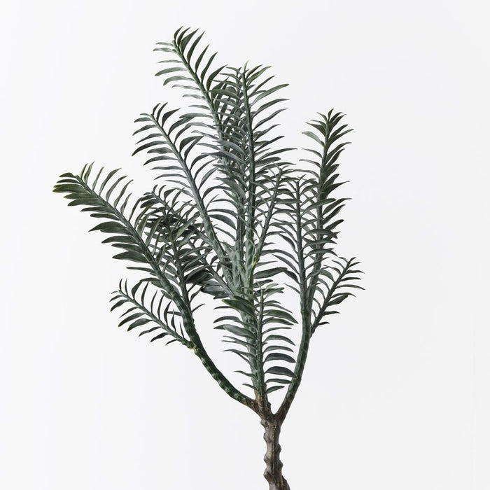 Backbone Pick Green 43cm Pack of 12