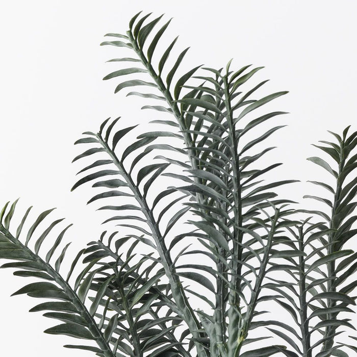 Backbone Pick Green 43cm Pack of 12