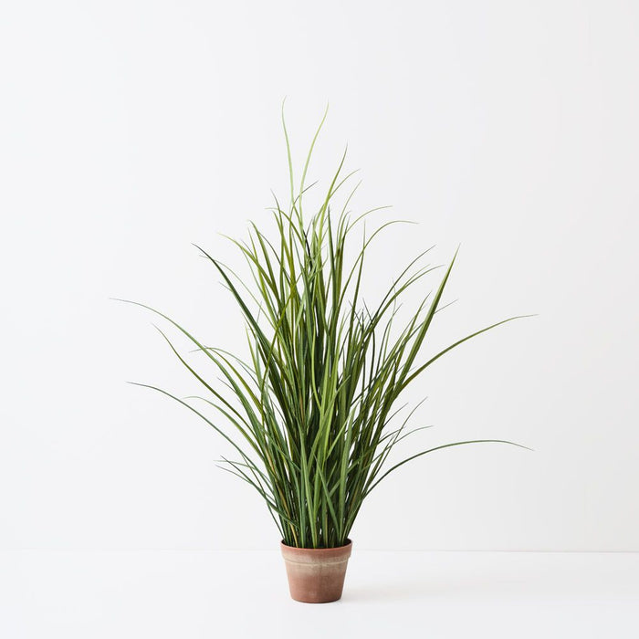 Grass Reed Plant Green 120cm Pack of 2