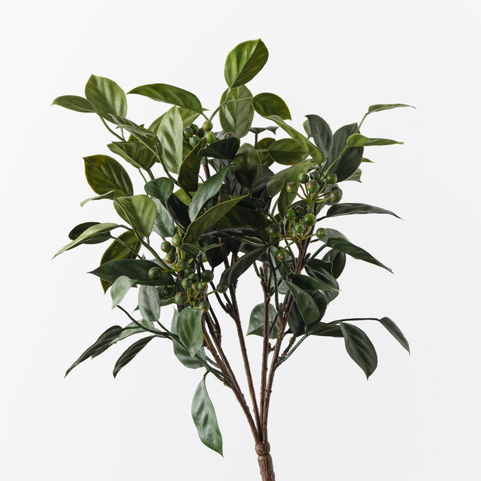 Blueberry Bush Green 35cm Pack of 12