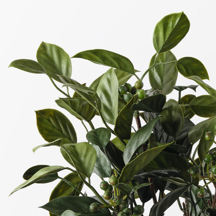 Blueberry Bush Green 35cm Pack of 12