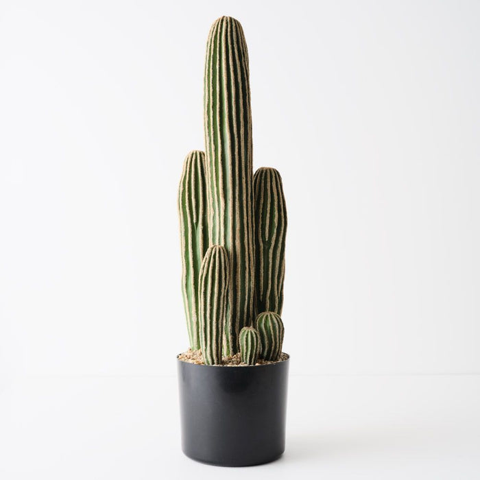 Cactus Saguaro Plant Green 63cm Pack of 2