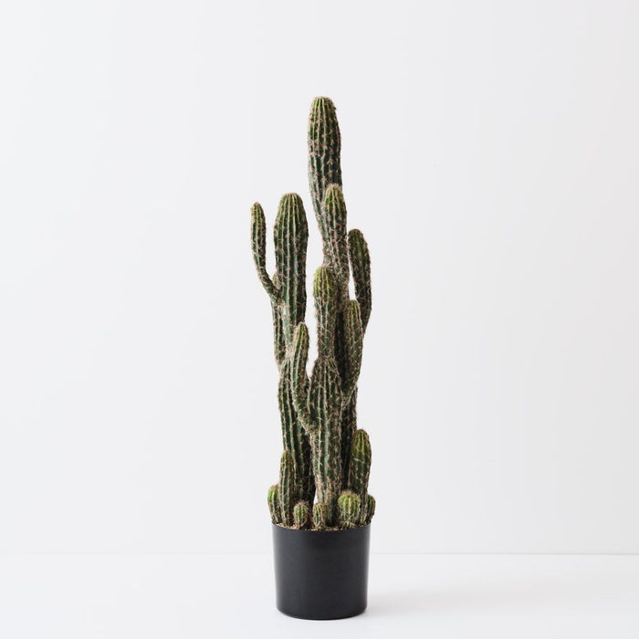 Cactus Key Tree Plant Green 100cm Pack of 2
