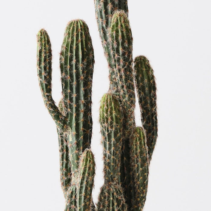 Cactus Key Tree Plant Green 100cm Pack of 2