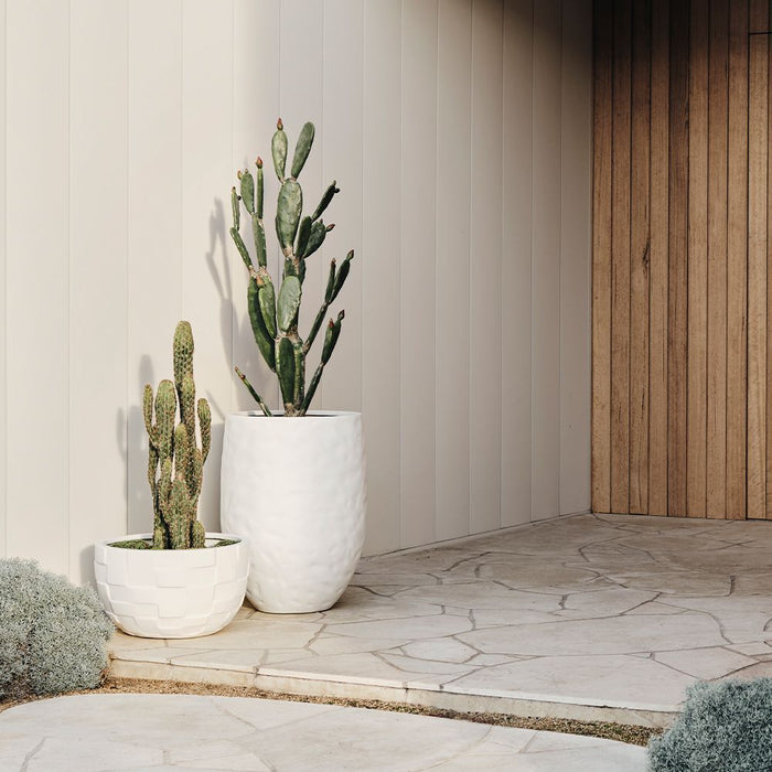 Cactus Key Tree Plant Green 100cm Pack of 2