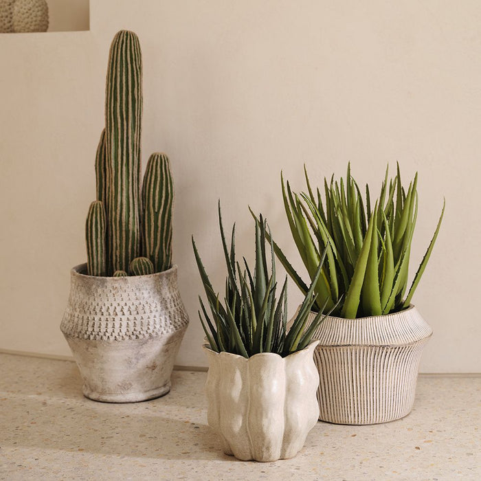 Aloe Vera Plant Green 38cm Pack of 2