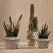 Pot Eurysaces Clove 24cm x 23cm