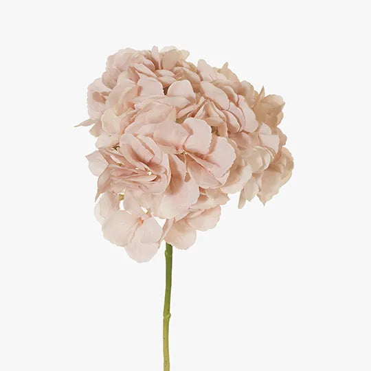 Hydrangea No Leaf Soft Pink 46cm - Pack of 12