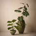 Kero Pot Daintree 20cm x 28cm