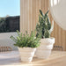 Ulrika Pot White 16cm x 20cm Pack of 2