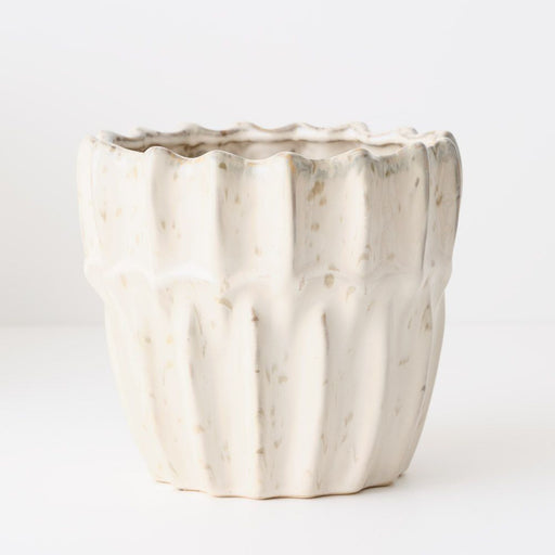 Haili Pot 22cm Ivory - Pack of 2 - FLORA DESIGNS