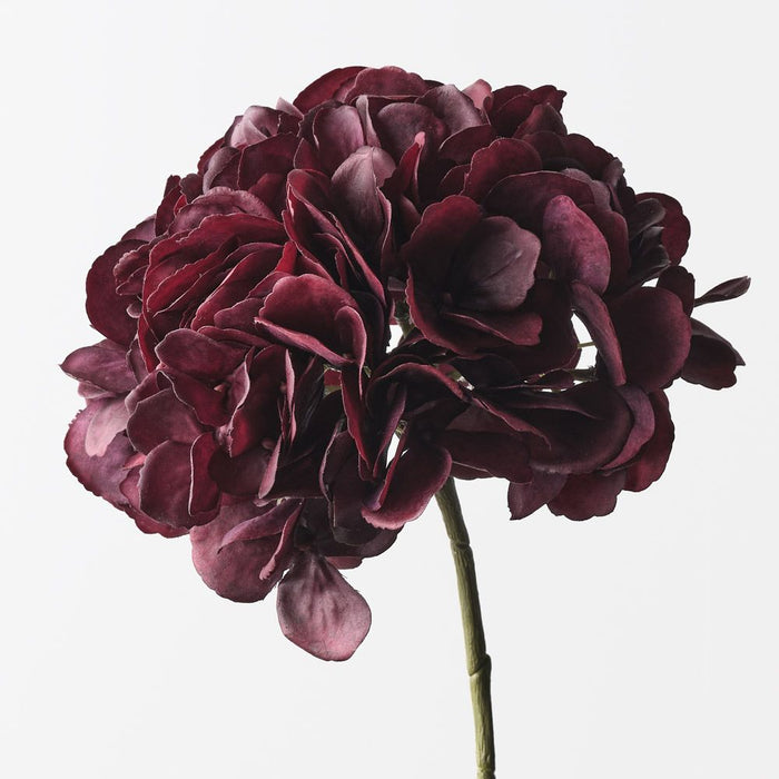 Hydrangea w/o Leaf Burgundy 46cm Pack of 12