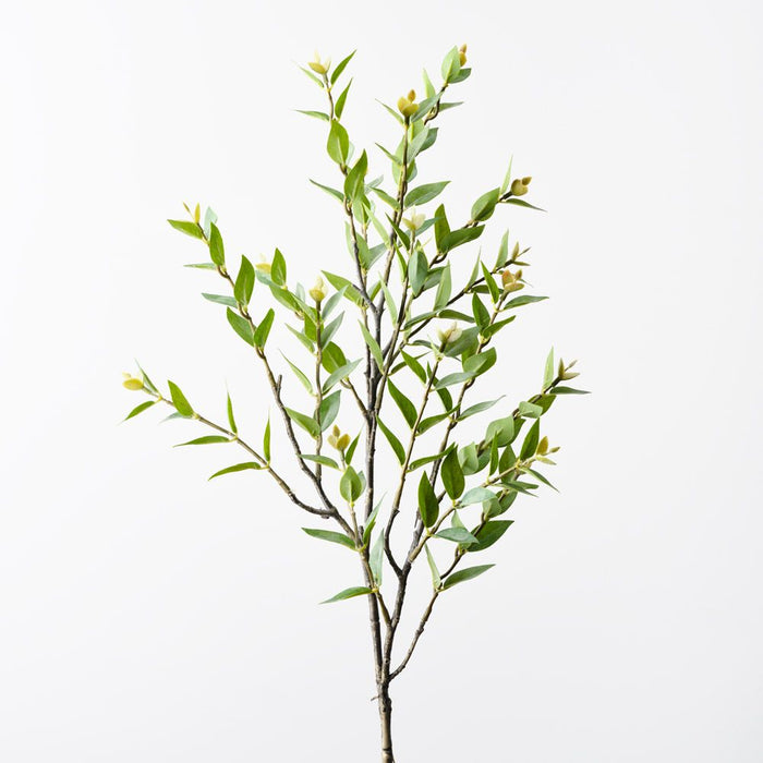 Snow Willow Leaf Spray Grey Green 70cm Pack of 12