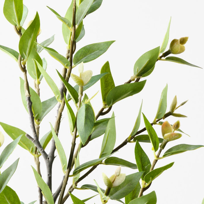 Snow Willow Leaf Spray Grey Green 70cm Pack of 12