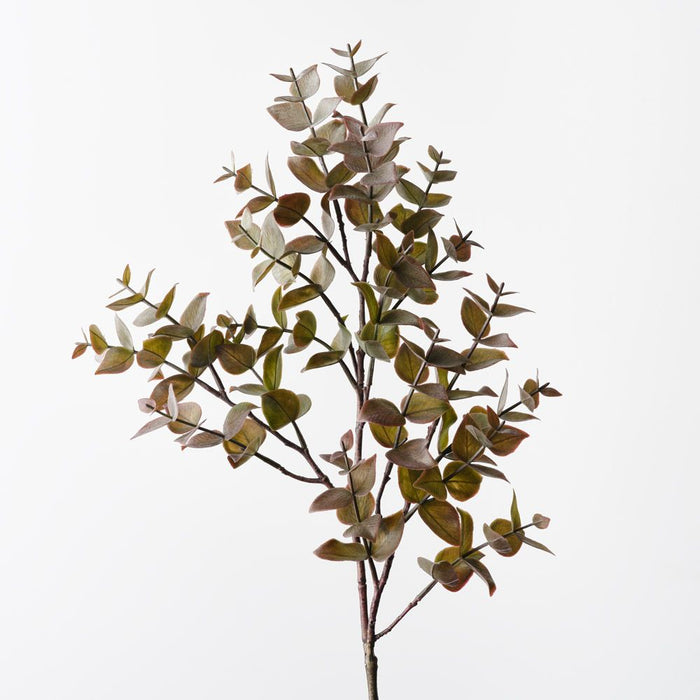 Eucalyptus Spray Burgundy Green 70cm Pack of 12