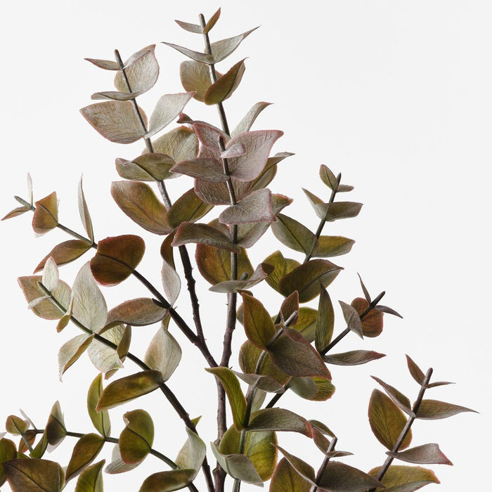 Eucalyptus Spray Burgundy Green 70cm Pack of 12