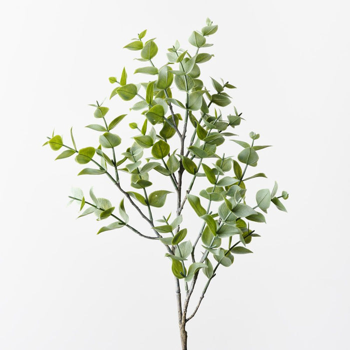 Eucalyptus Spray Grey Green 70cm Pack of 12