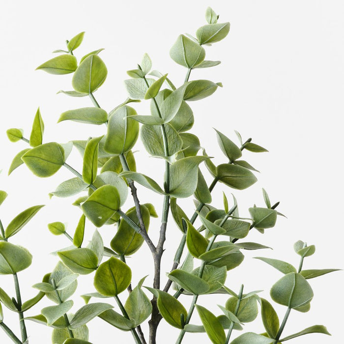 Eucalyptus Spray Grey Green 70cm Pack of 12