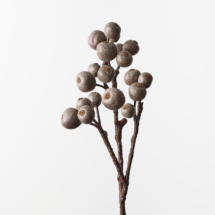 Loquat Spray Coffee 59cm Pack of 12