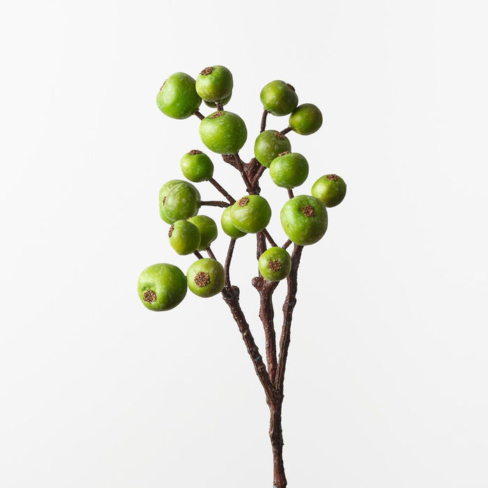 Loquat Spray Green 59cm Pack of 12