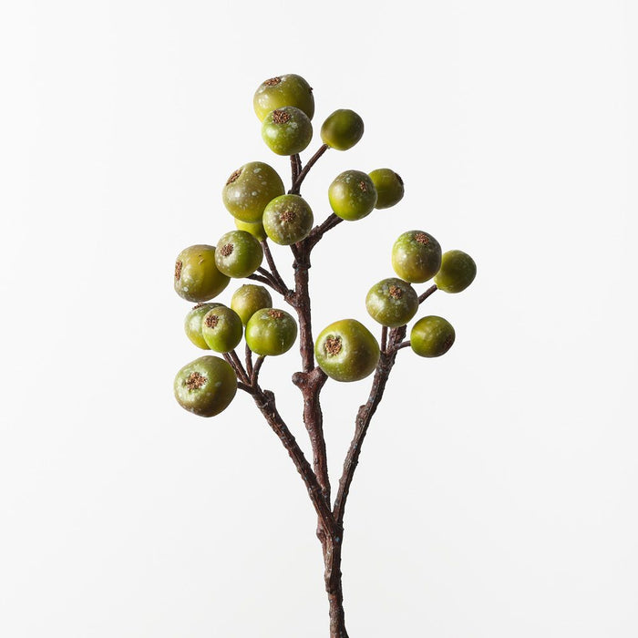 Loquat Spray Olive 59cm Pack of 12