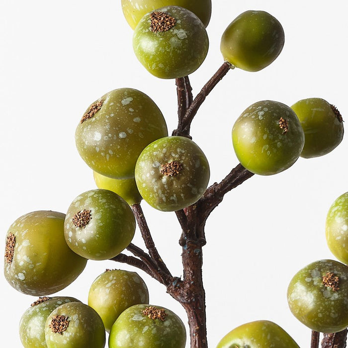 Loquat Spray Olive 59cm Pack of 12