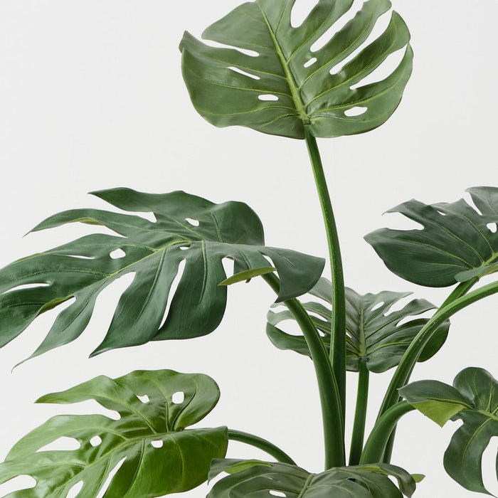 Monstera Plant Green 61cm