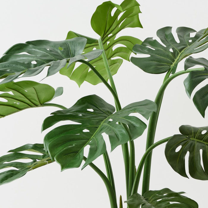 Monstera Plant Green 91cm