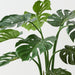 Monstera Plant Green 91cm