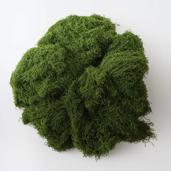 Moss Bag (500gm) Green Pack of 2