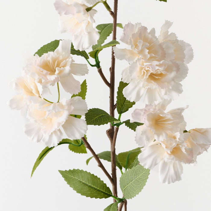 Blossom Apple Champagne 77cm Pack of 12