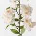 Blossom Apple Champagne 77cm Pack of 12