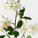 Blossom Pear White 80cm Pack of 12
