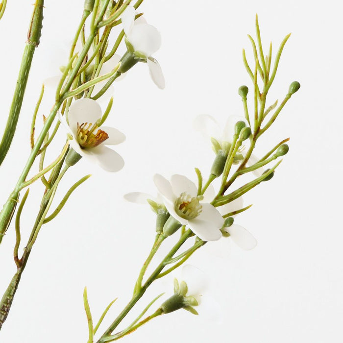 Wax Flower White 70cm Pack of 12