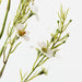 Wax Flower White 70cm Pack of 12