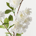 Blossom Apple White 77cm Pack of 12