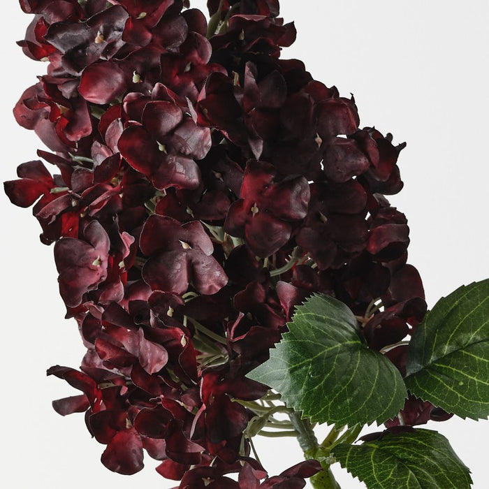 Hydrangea Cone Burgundy 91cm Pack of 6