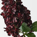 Hydrangea Cone Burgundy 91cm Pack of 6