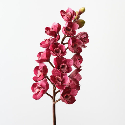 Artificial Orchid Cymbidium 83cm Fuschia - Pack of 12 - FLORA DESIGNS